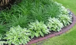 Landscaping(3) Landscaping(3)